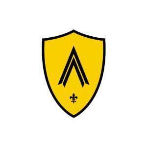 CITTA' DI ALZANO